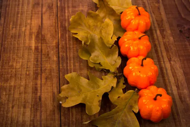 A Close Up of Several Small Pumpkins Lined up in a Row on Rustic Old Wooden Boards against Medium Brown Background with Copy Space