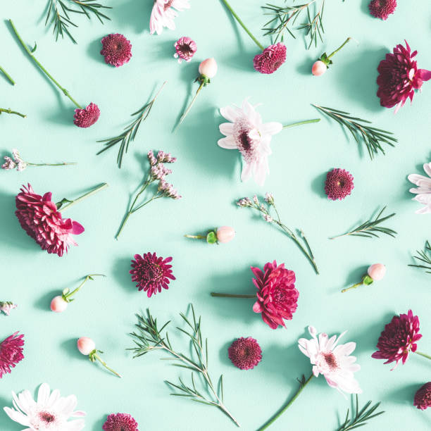 Flowers composition. Eucalyptus leaves and pink flowers on mint background. Flat lay, top view