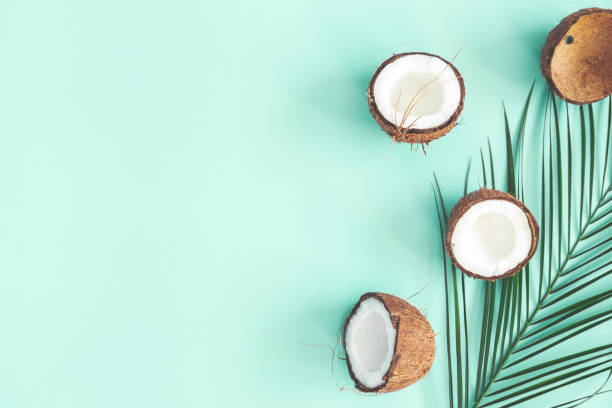 istock Summer composition. Coconut, palm leaf on mint background. Summer concept. Flat lay, top view, copy space 1157314017