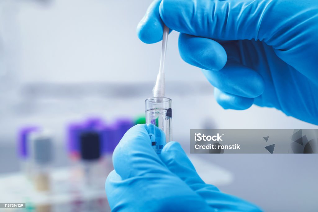 scientist in lab collect dna sample in test tube with cotton swab Scientific Experiment Stock Photo