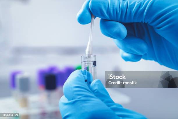 Scientist In Lab Collect Dna Sample In Test Tube With Cotton Swab Stock Photo - Download Image Now