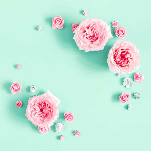 istock Flowers composition. Frame made of rose flowers on mint background. Flat lay, top view, copy space, square 1157314251