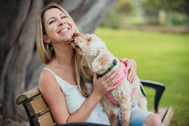 An Affectionate Puppy Licking Their Owner