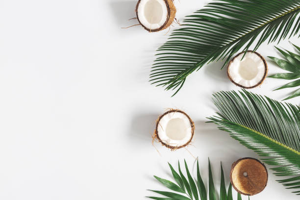 istock Summer composition. Coconut, palm leaf on pastel gray background. Summer concept. Flat lay, top view, copy space 1157315275