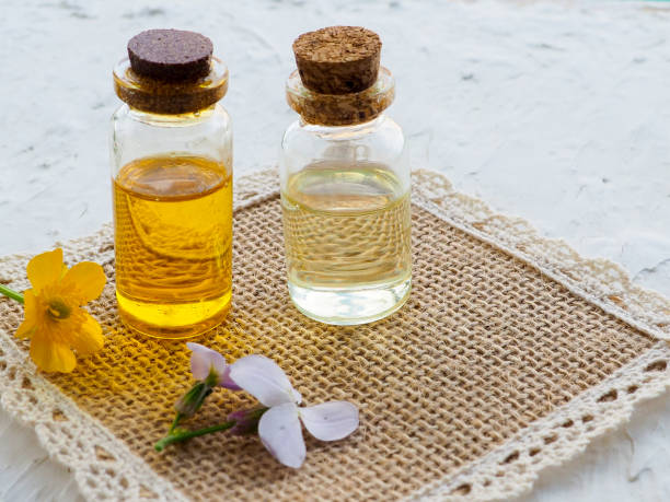 istock alternative medicine with herbal pills 1157315503