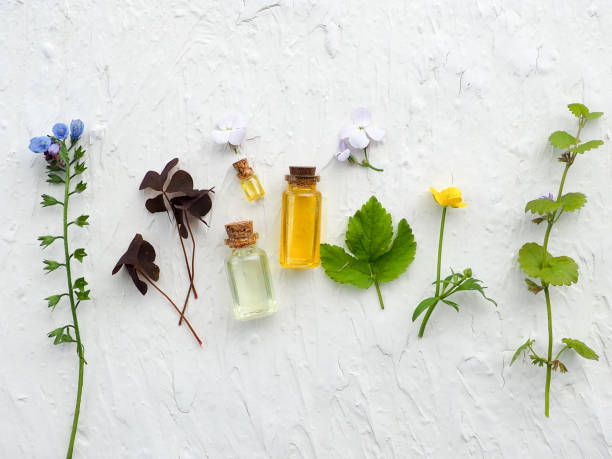 istock alternative medicine with herbal pills 1157315504