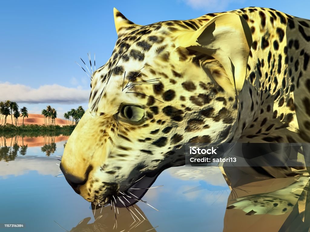 Leopard illustration Leopard in the lake Africa Stock Photo