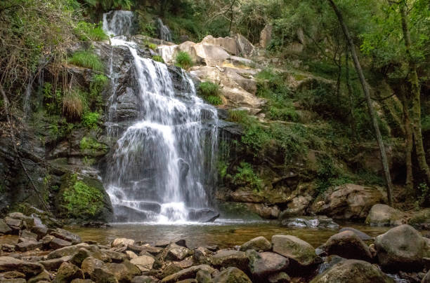 Natural waterfall in Portuguese forest