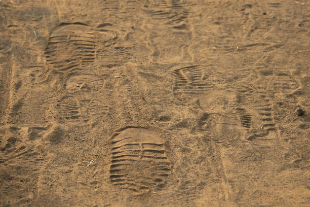 砂漠に来るスニーカーの2つの足跡 - murakami ストックフォトと画像