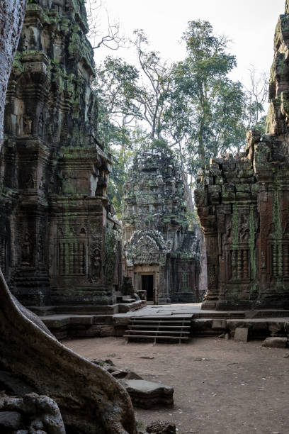 istock The ancient temple of Ta Prohm , Angkor , Cambodia 1157318516