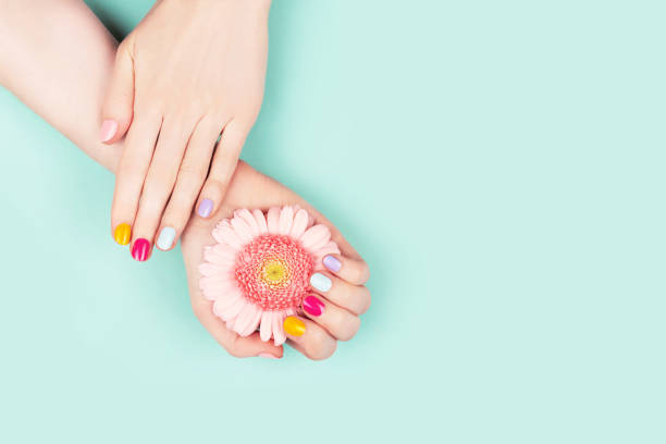 mãos da mulher com manicure e a flor perfeitos. - turquoise blue spa treatment green - fotografias e filmes do acervo