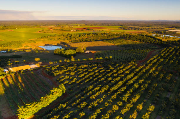 istock Childers, QLD. Australia 1157321625