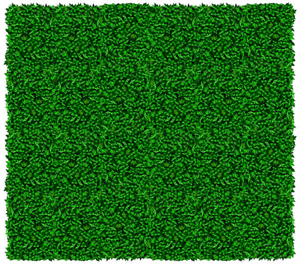 Green grape or ivy wall texture Texture of green wall of grapes or ivy. Vector graphics. Green leaves bush stock illustrations