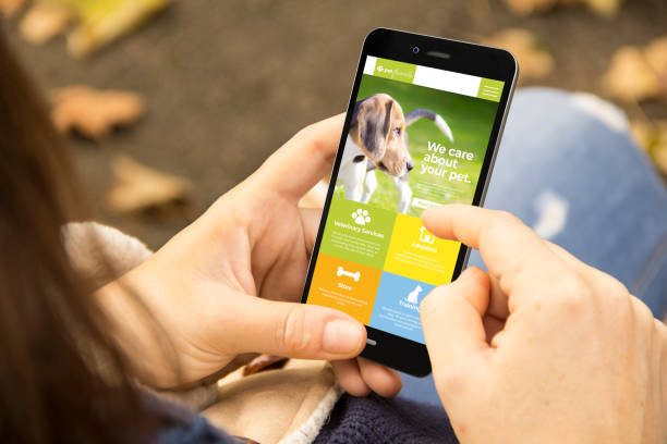 woman with pet website design phone in the park mobile design concept: woman holding a 3d generated smartphone with pet on the screen. Graphics on screen are made up. landing page photos stock pictures, royalty-free photos & images