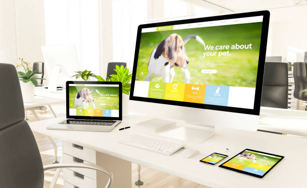 istock responsive pet website devices in loft office mockup 1157335305
