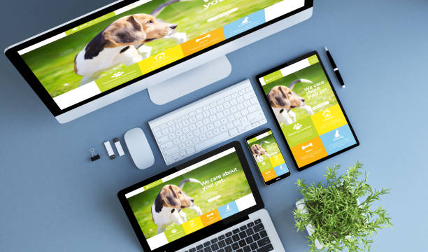 top view blue devices pet website blue devices top view pet website 3d rendering. blue beagle stock pictures, royalty-free photos & images
