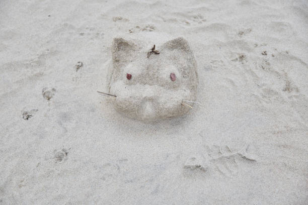 istock Sand sculpture of a cat on the beach 1157335485
