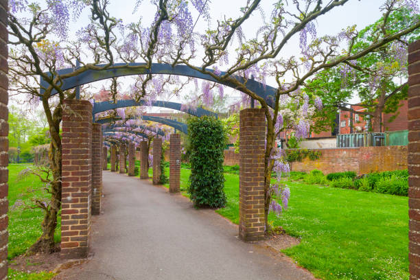 istock Outdoor arcade with flowers, Southampton 1157335551