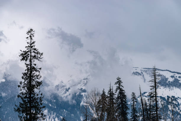 istock Solang Valley, Himachal Pradesh 1157338092