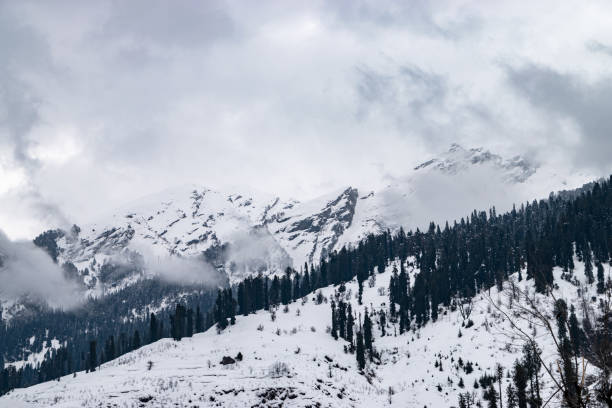 istock Solang Valley, Himachal Pradesh 1157341179
