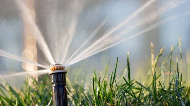 istock automatic sprinkler system watering the lawn on a background of green grass 1157341199