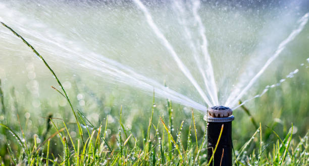 istock automatic sprinkler system watering the lawn on a background of green grass 1157341205