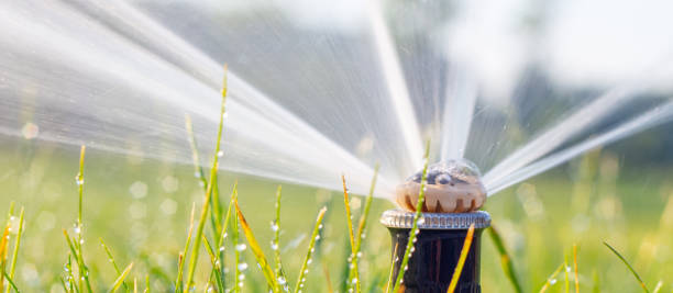 istock automatic sprinkler system watering the lawn on a background of green grass 1157341209