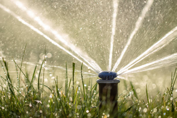 istock automatic sprinkler system watering the lawn on a background of green grass 1157341211
