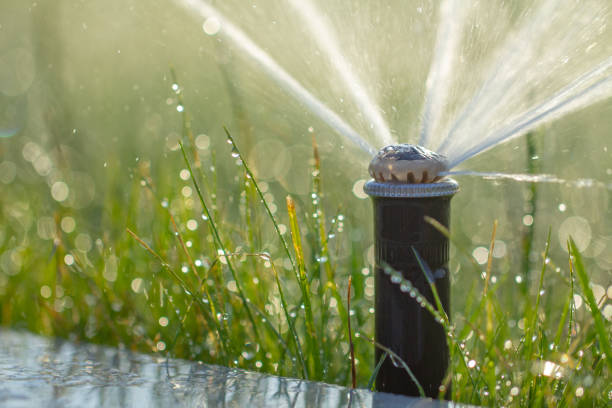 istock automatic sprinkler system watering the lawn on a background of green grass 1157341212