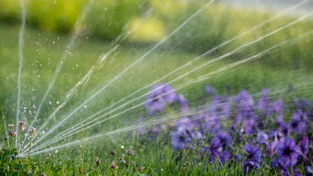 istock automatic sprinkler system watering the lawn on a background of green grass 1157341215