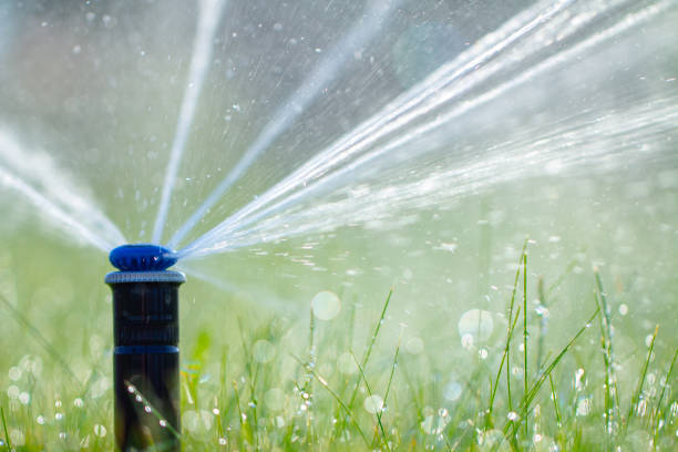 istock automatic sprinkler system watering the lawn on a background of green grass 1157341216