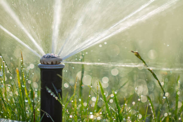 istock automatic sprinkler system watering the lawn on a background of green grass 1157341218