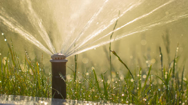 istock automatic sprinkler system watering the lawn on a background of green grass 1157341275
