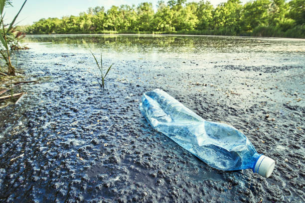 istock Plastic water bottles pollution in water. Environment concep 1157348338