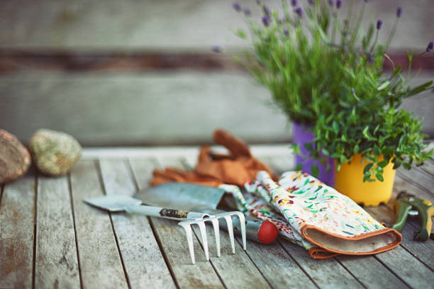 Accessories for gardening in summer