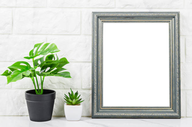 istock Blank gray vintage photo frame with cactus 1157351035
