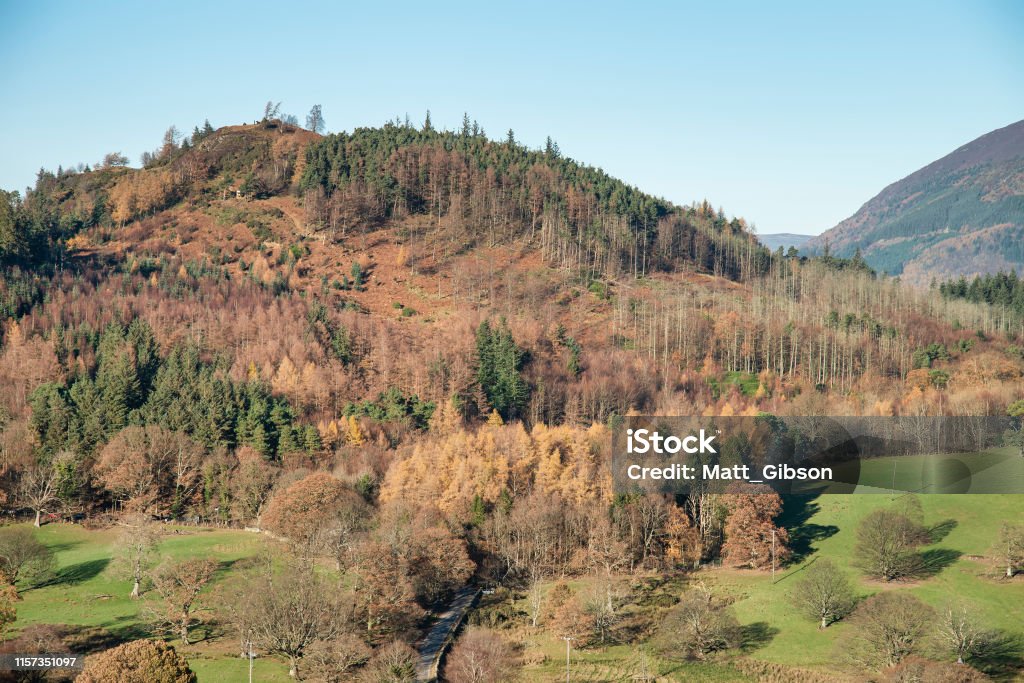 Beautiful Autumn Fall landscape image of the view from Catbells near Derwentwater in the Lake District with vivid Fall colors all around the contryside scene Stunning Autumn Fall landscape image of the view from Catbells near Derwentwater in the Lake District with vibrant Fall colors all around the countryside vista Autumn Stock Photo