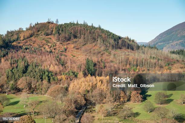 Beautiful Autumn Fall Landscape Image Of The View From Catbells Near Derwentwater In The Lake District With Vivid Fall Colors All Around The Contryside Scene Stock Photo - Download Image Now