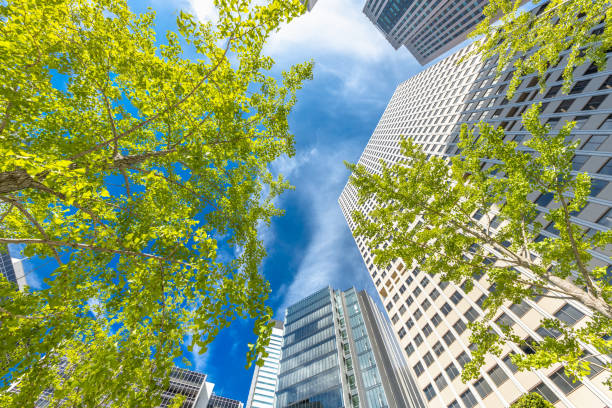 istock Fresh green and urban buildings 1157352108
