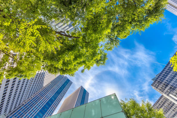 istock Fresh green and urban buildings 1157352315