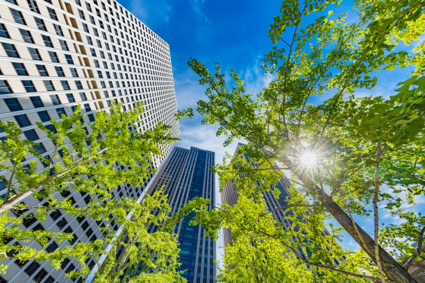 istock Fresh green and urban buildings 1157352631