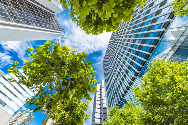 istock Fresh green and urban buildings 1157353424