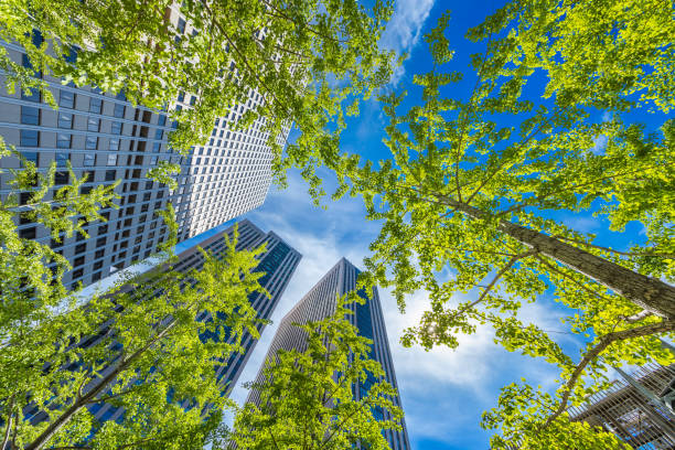 istock Fresh green and urban buildings 1157353463
