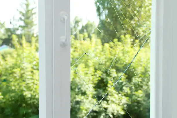 Photo of Broken glass on a wooden window frame.