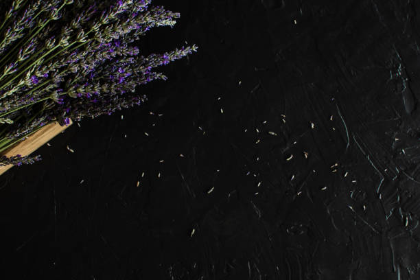 istock Lavender Flowers Bouquet on Rustic Dark Background 1157353728