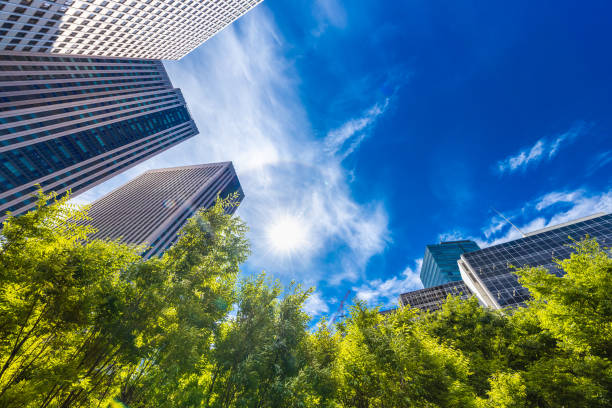 istock Fresh green and urban buildings 1157354471