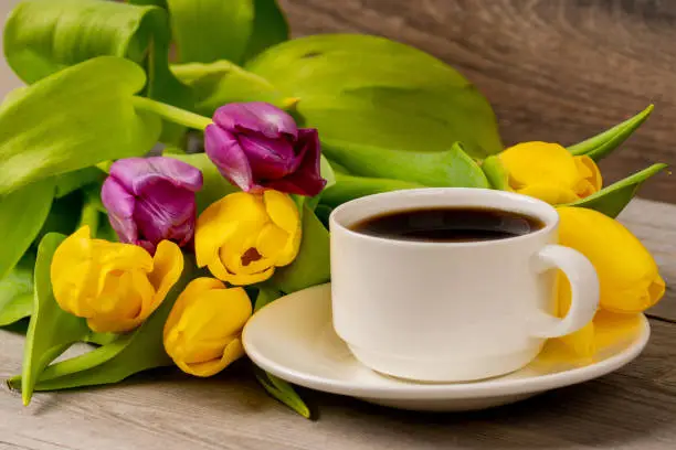 Yellow and purple tulips and coffee cup on rustic wooden table. Close up shot.