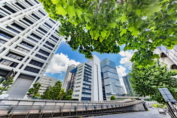 istock Fresh green and urban buildings 1157355036