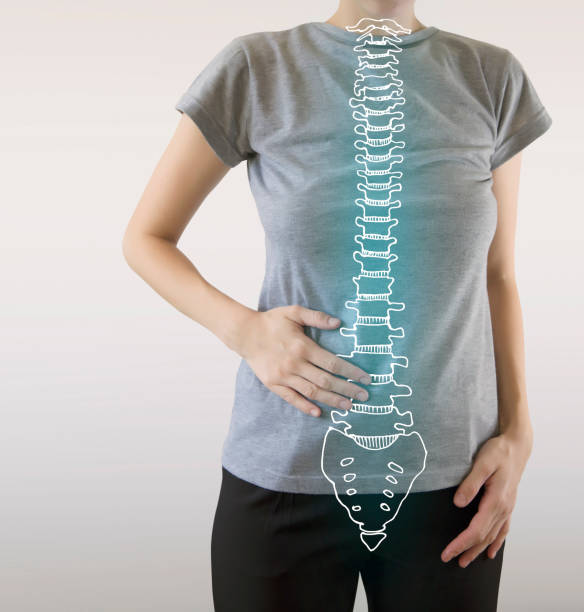 healthy human spine colored blue, x-ray vector visualisation problems with human spine, scoliosis cerebrospinal fluid photos stock pictures, royalty-free photos & images