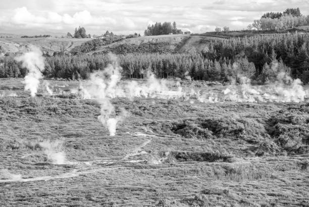 geysers of new zealand. craters of the moon park - new zealand volcano hot spring rotorua imagens e fotografias de stock